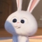 Ami Bunny