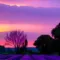 Purple Sunset