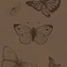 head