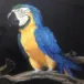head