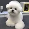 m m
