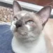 head