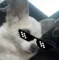Lily Main