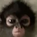 head