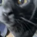 head